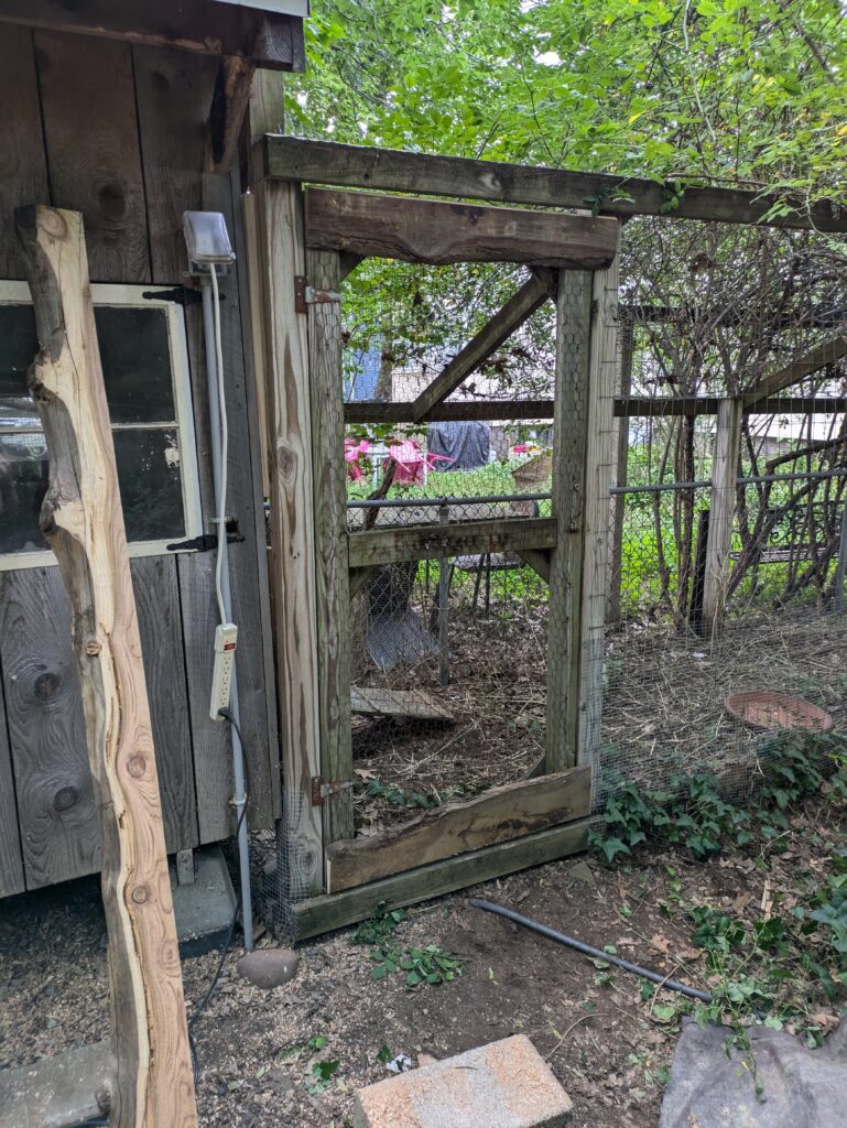 Door with live edge top and bottom rails