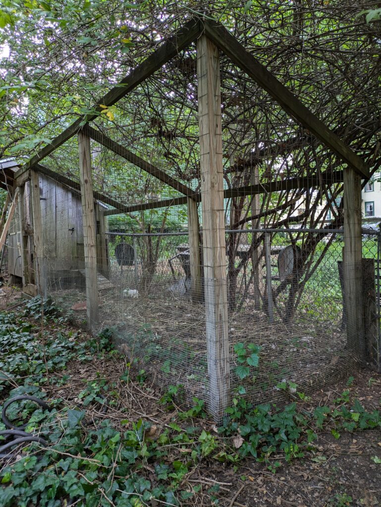 Chicken coop prior to fixing up