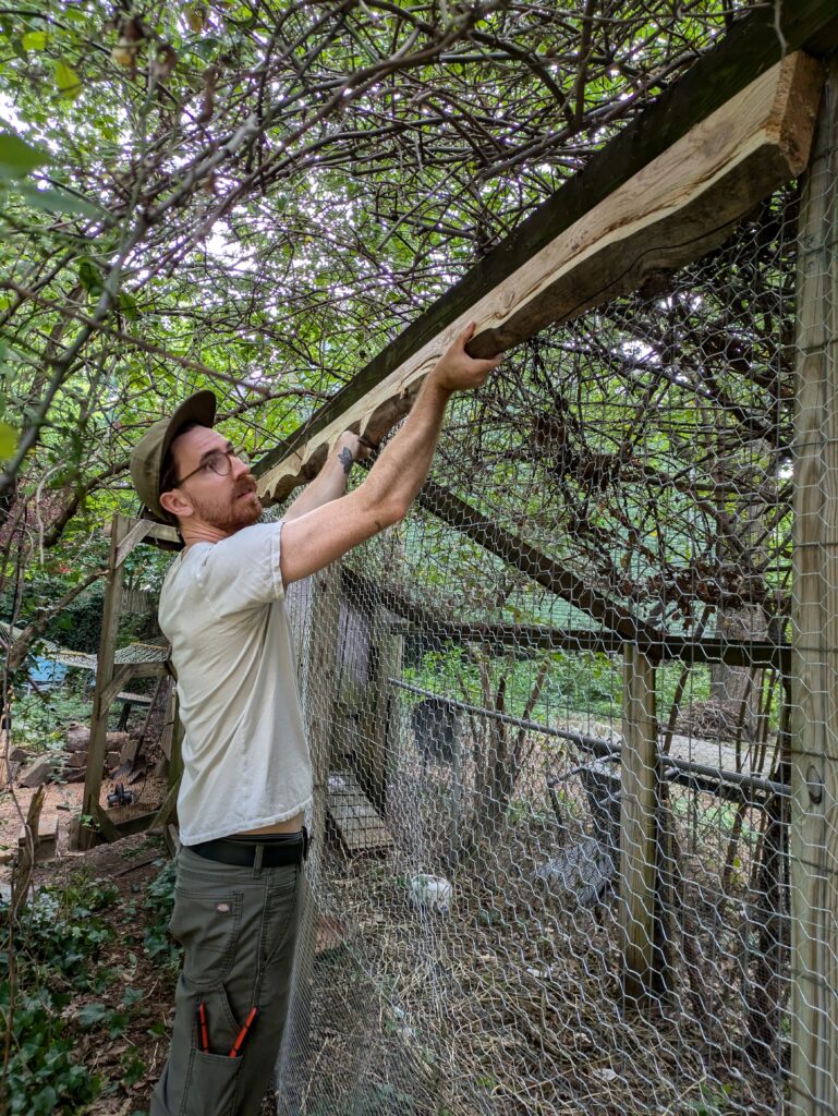 Matt placing a cedar plank