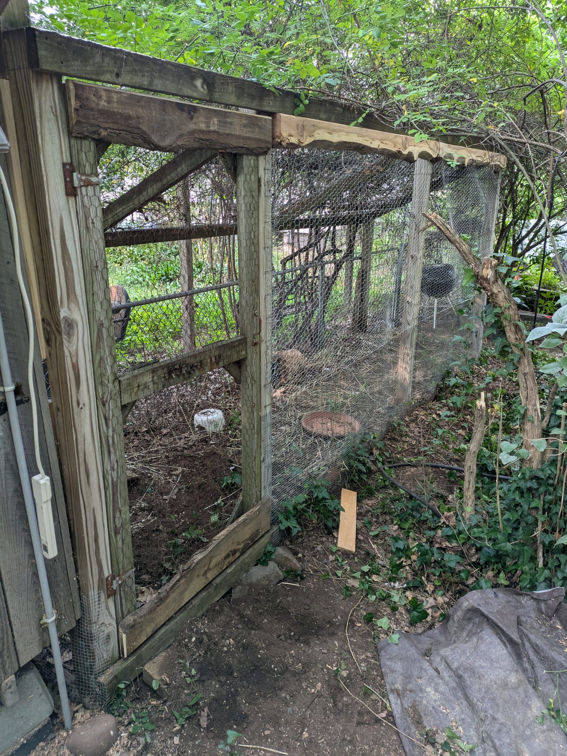 Front exterior shot of the chicken coop turned quail coop